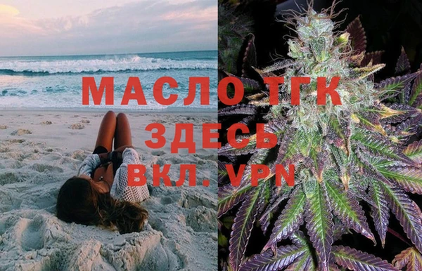 индика Баксан