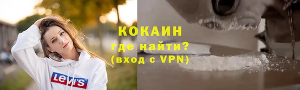 индика Баксан