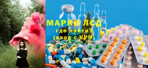 индика Баксан