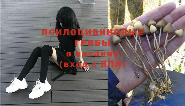 индика Баксан