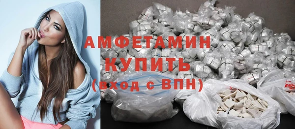 индика Баксан